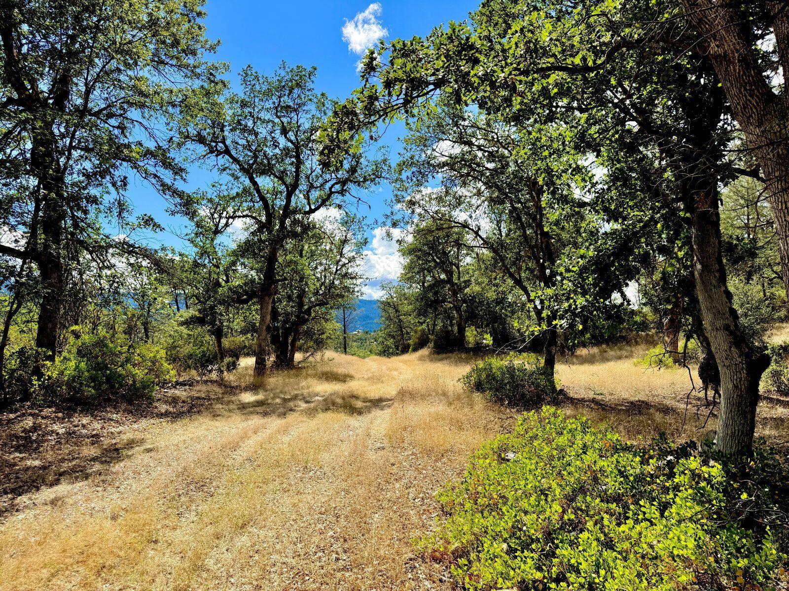 925 Kingsbury Road Hayfork, CA 96041 - Photo 7 of 21 K7