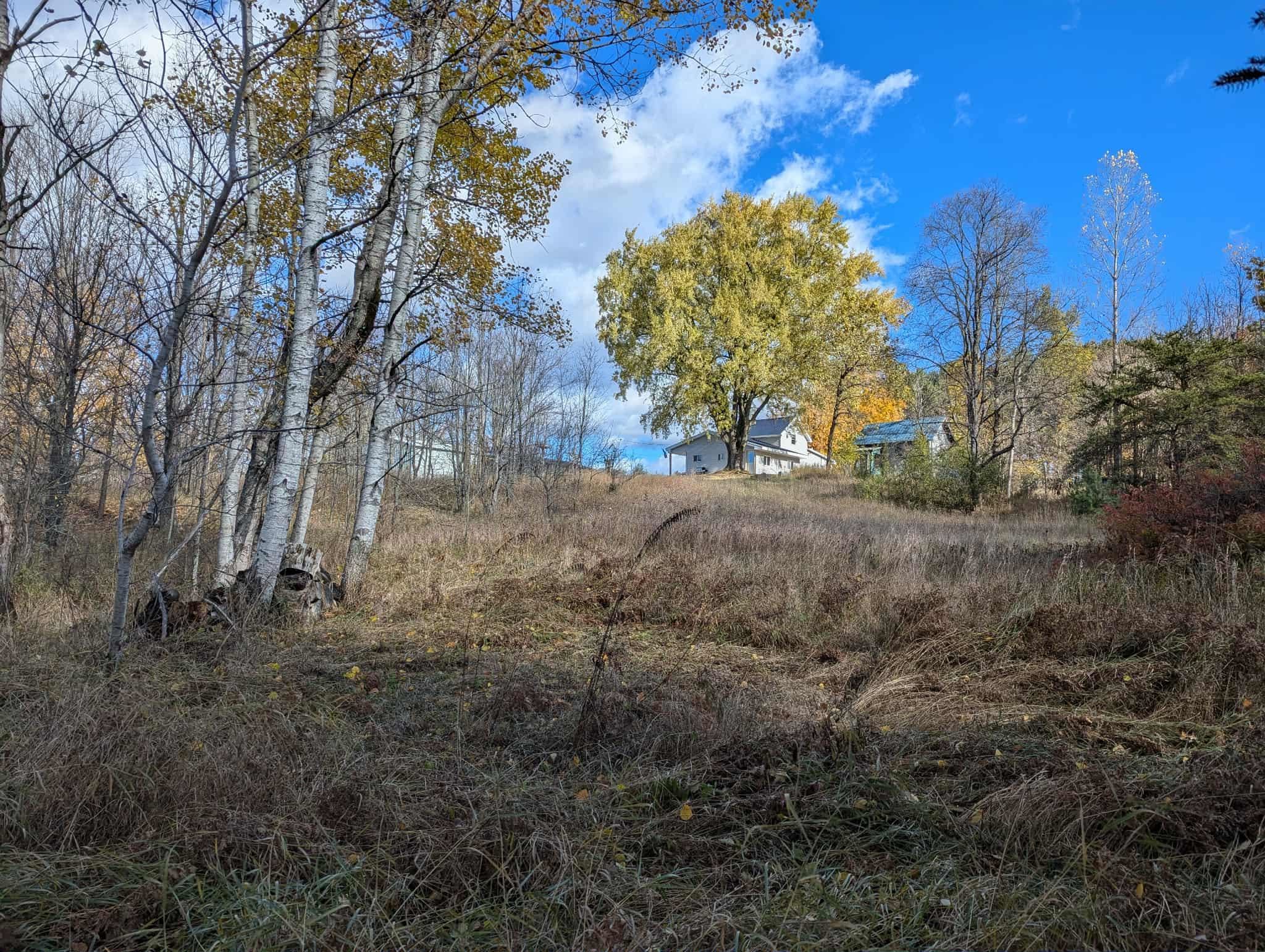 3920 East 14 Road Manton, MI 49663 - Photo 59 of 65