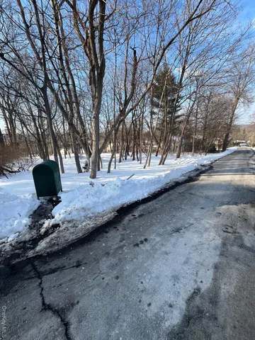 a view of backyard and trees