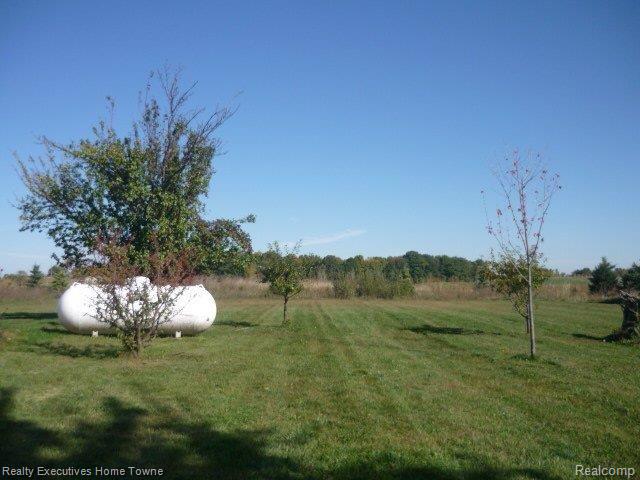 7451 Center Road Mayville, MI 48744 - Photo 3 of 18 P1060612