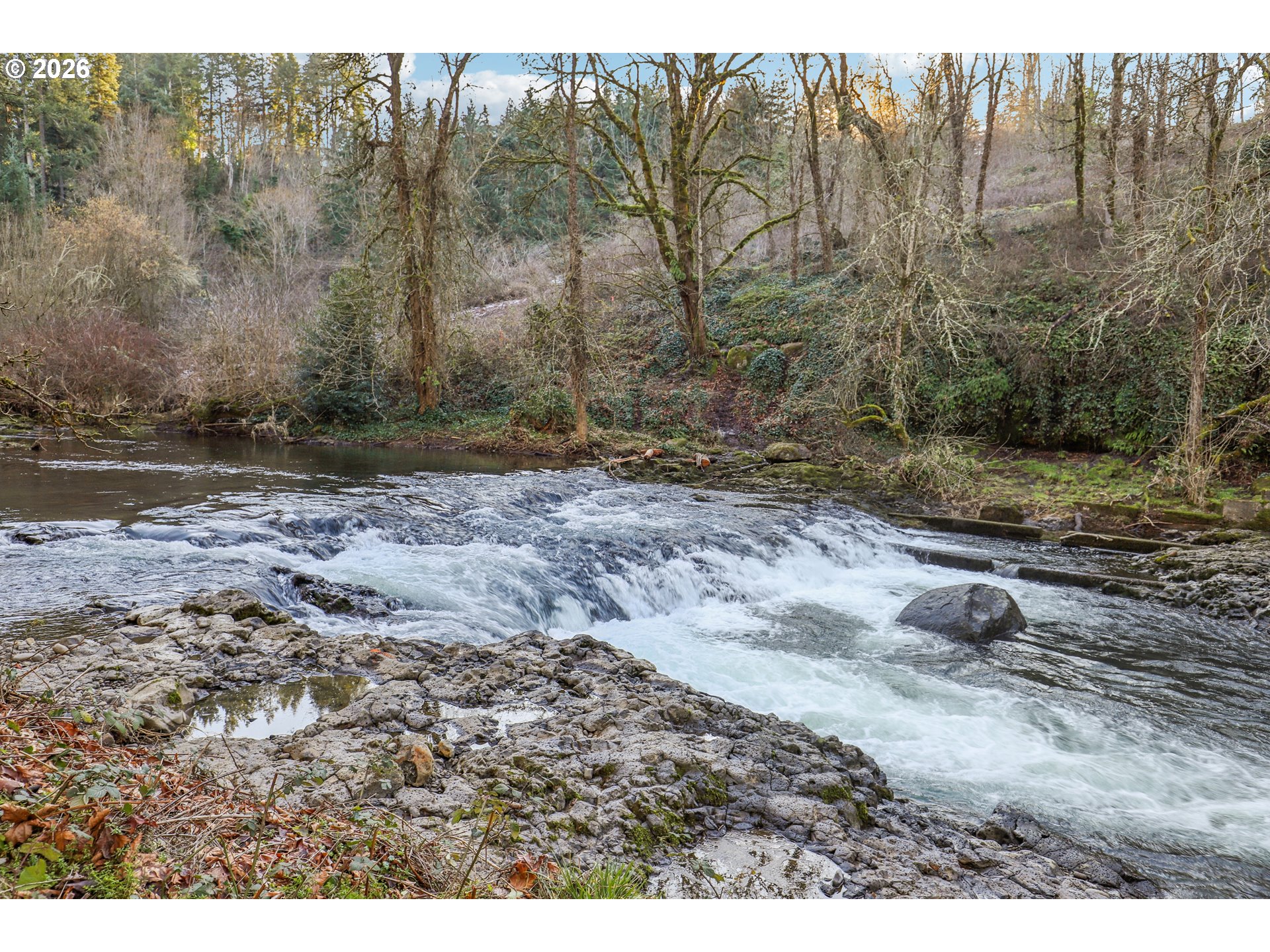 928 Barger Street Silverton, OR 97381 - Photo 42 of 46