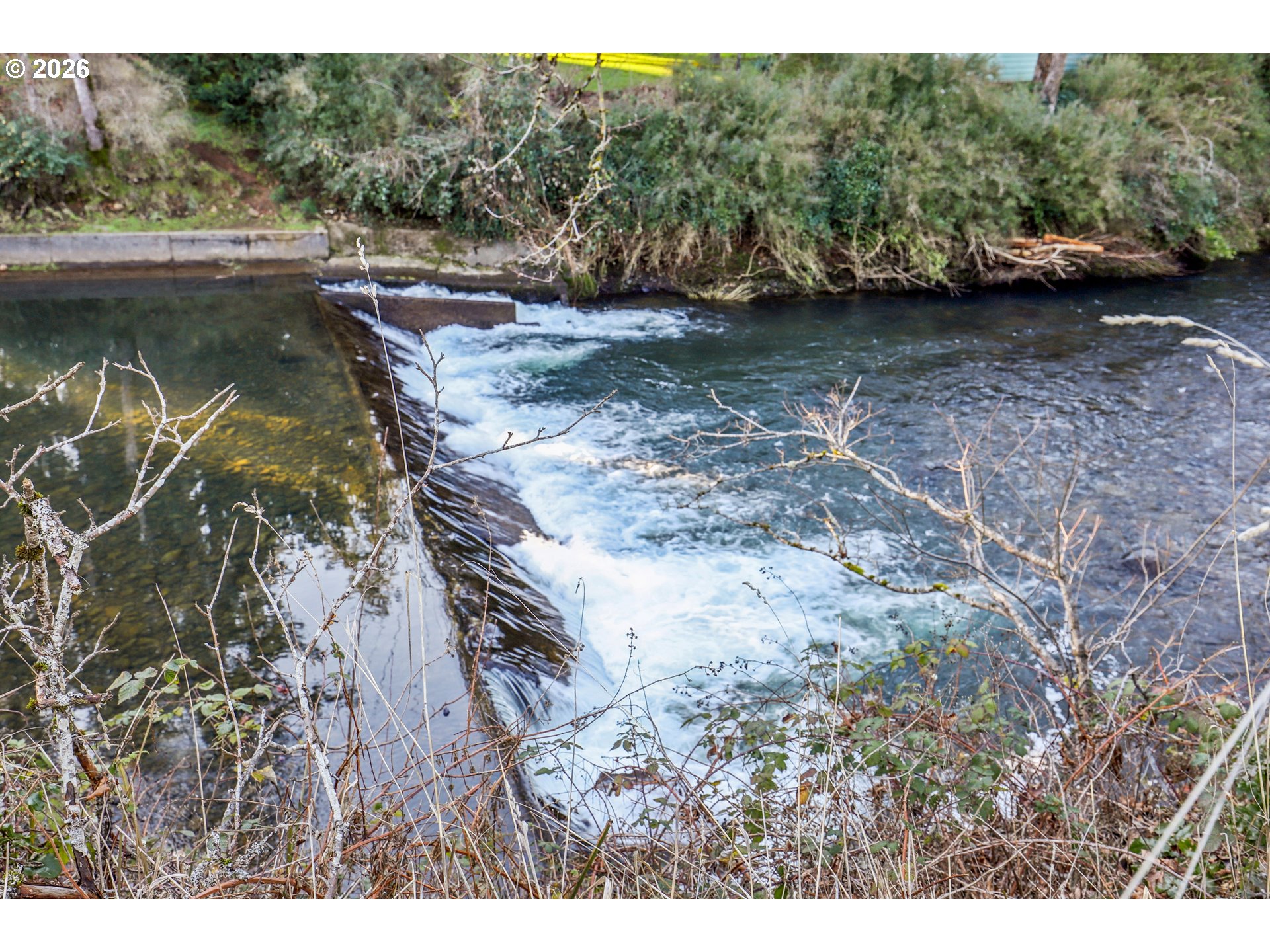 928 Barger Street Silverton, OR 97381 - Photo 43 of 46