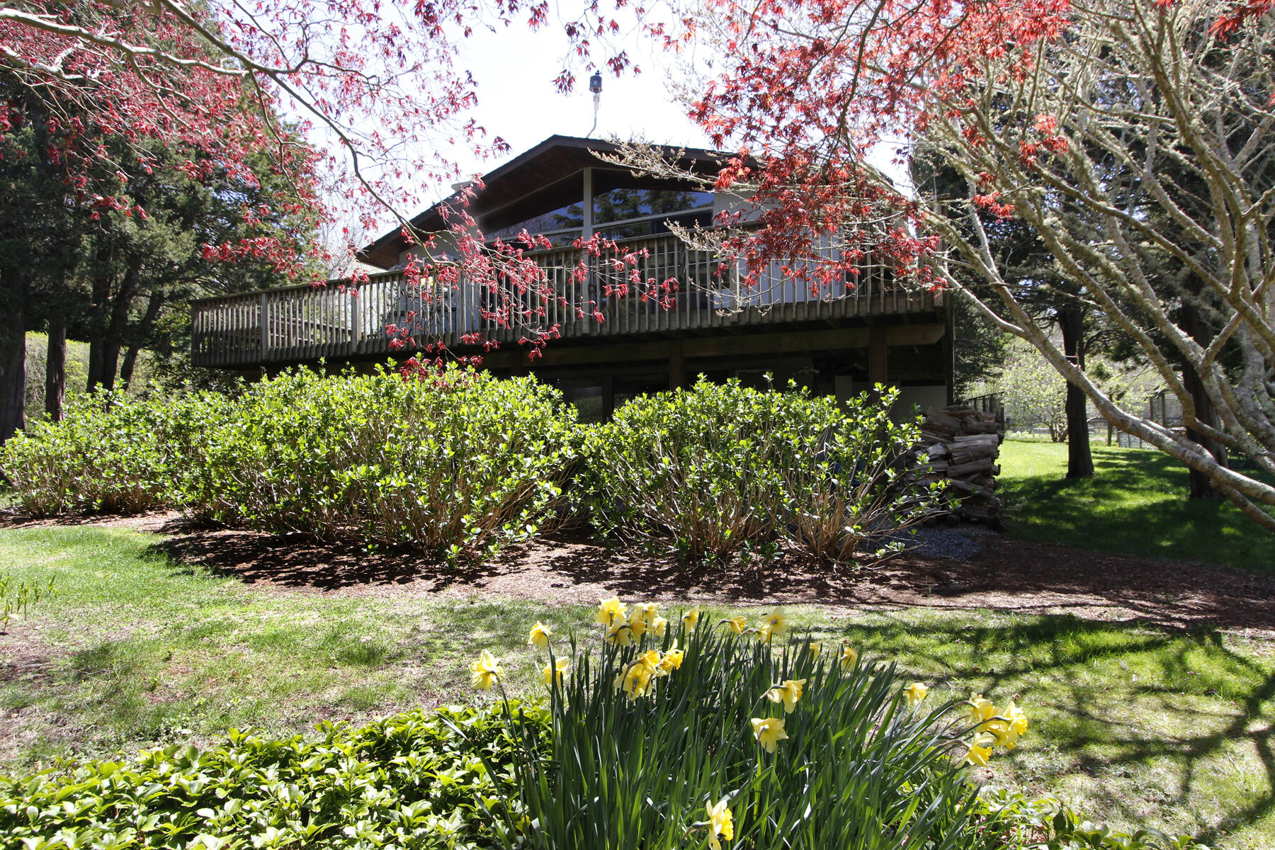 a view of a pathway of a house with a flower garden