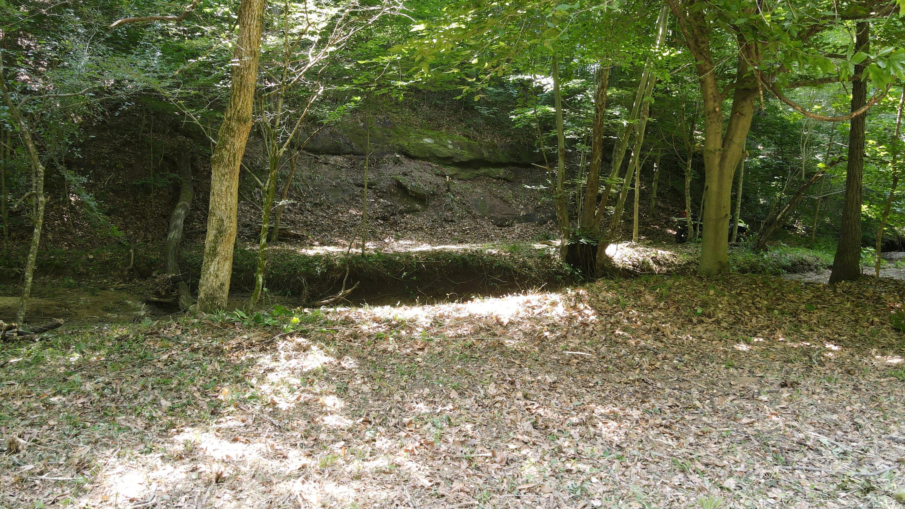 1101 Hull Road, Unit TRACT 9 WOODS WAYNE FOREST) Patriot, OH 45658 - Photo 58 of 61 20240621_152144000_iOS