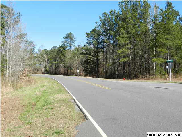 Creek Road, Unit 150AC Alexander City, AL 35010 - Photo 3 of 3