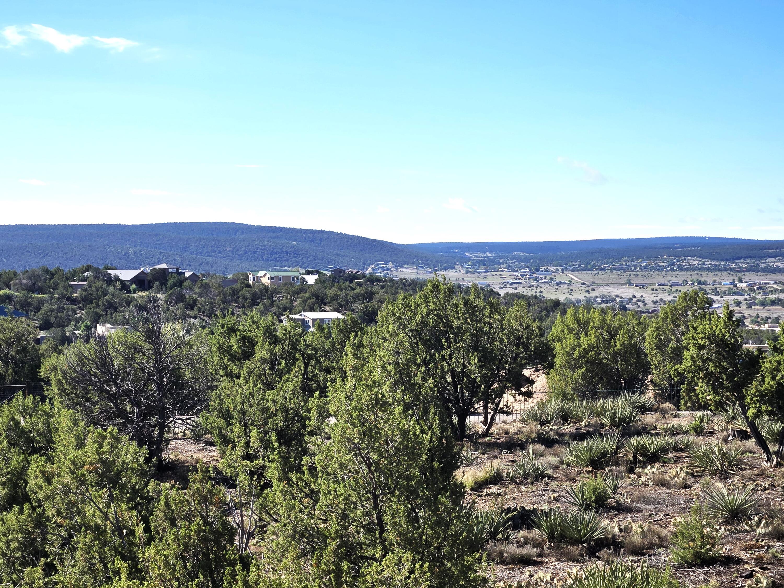 45 Sunny Dale Road Edgewood, NM 87015 - Photo 6 of 56 Gallery Image 6