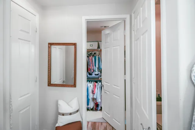 a room with potted plants and wall painting