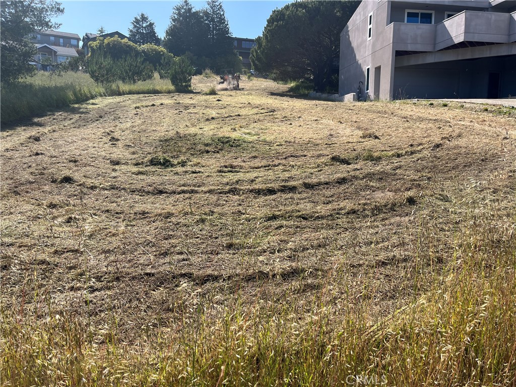 35 Spencer Street Cambria, CA 93428 - Photo 5 of 7 a view of a yard with snow on the road