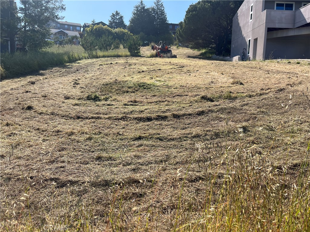 35 Spencer Street Cambria, CA 93428 - Photo 6 of 7 a view of a yard covered in snow
