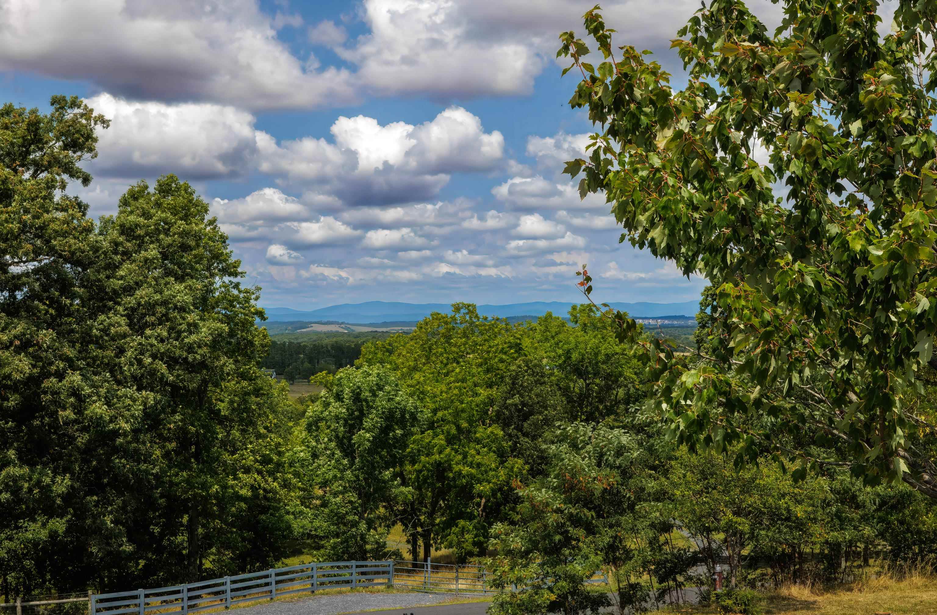 Tbd Barrenridge Road Fishersville, VA 22939 - Photo 8 of 25 Gallery Image 8