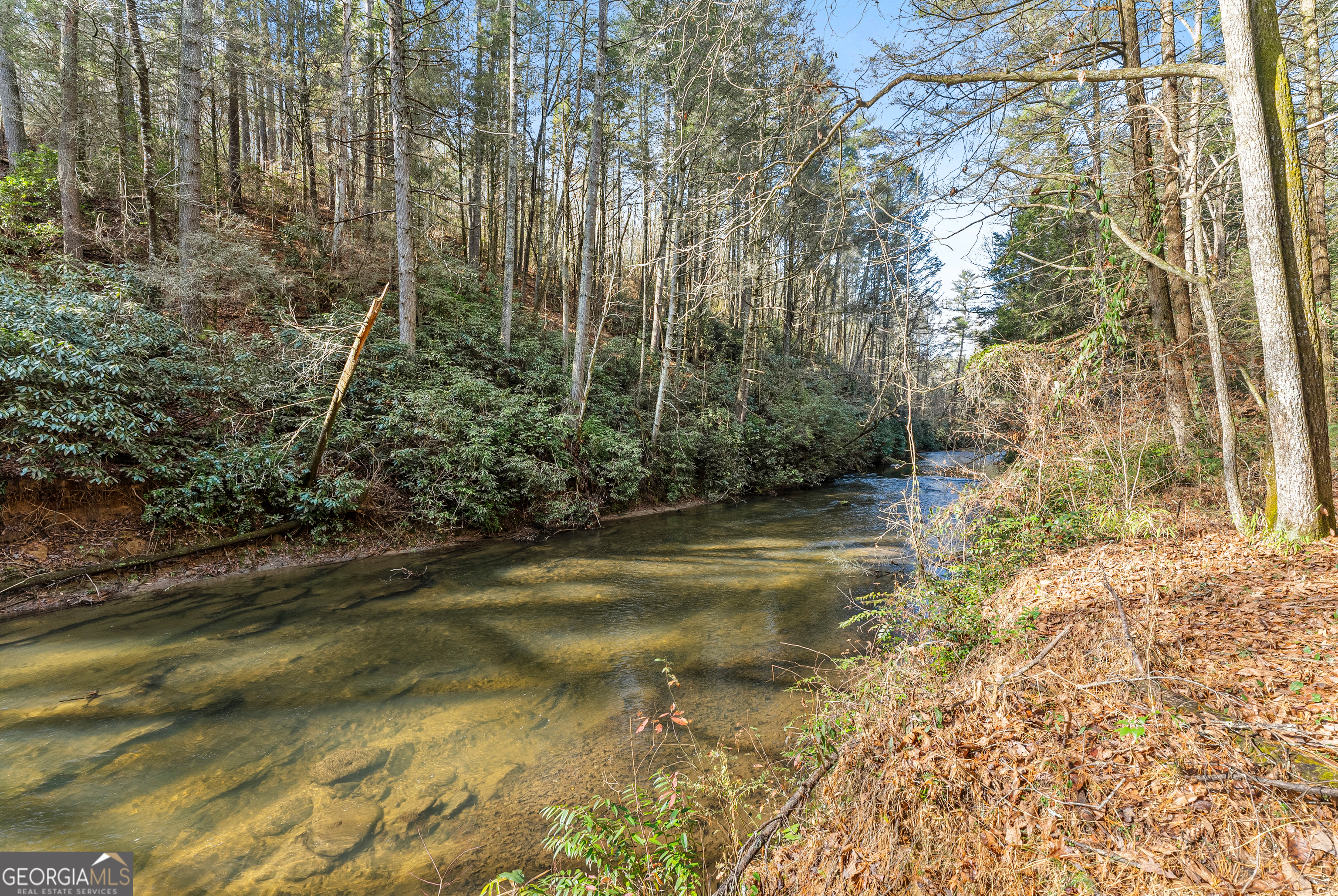 a view of a yard with plants