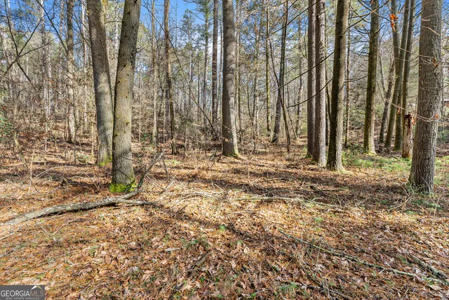 a view of a city with mountains in the background