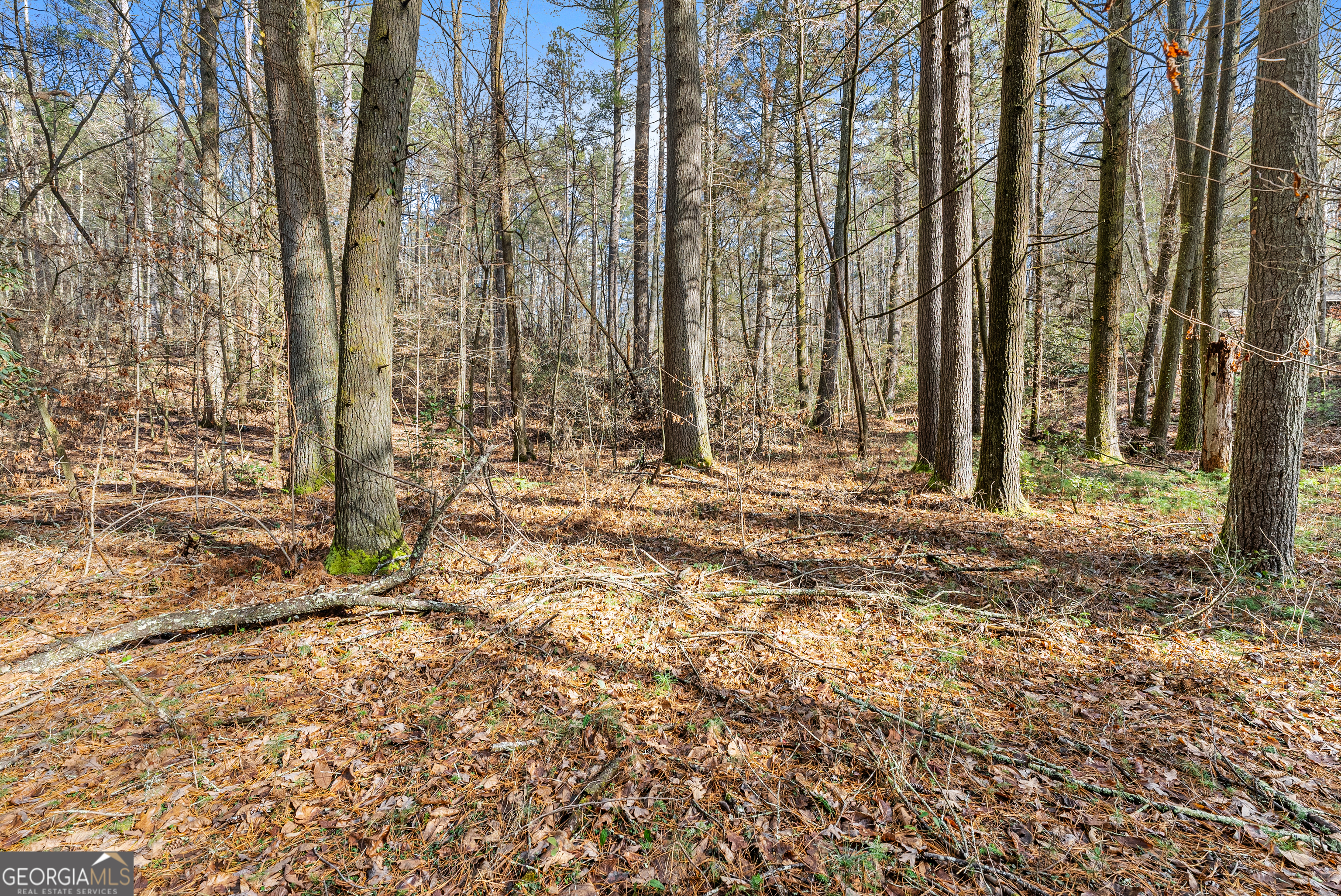 21 Soque Wilderness Road Clarkesville, GA 30523 - Photo 11 of 15 a backyard of a house with lots of green space