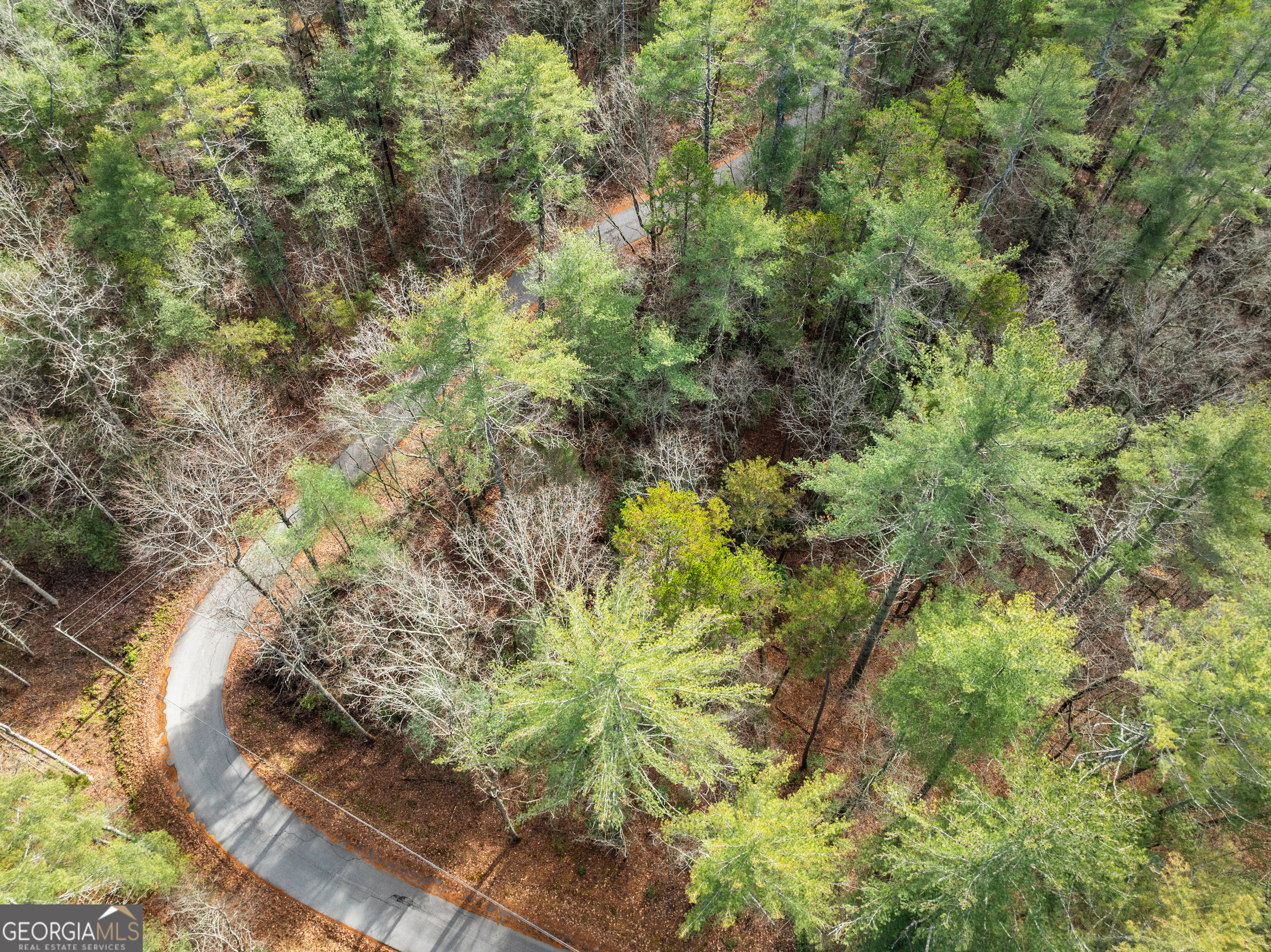 21 Soque Wilderness Road Clarkesville, GA 30523 - Photo 12 of 15 a view of a forest