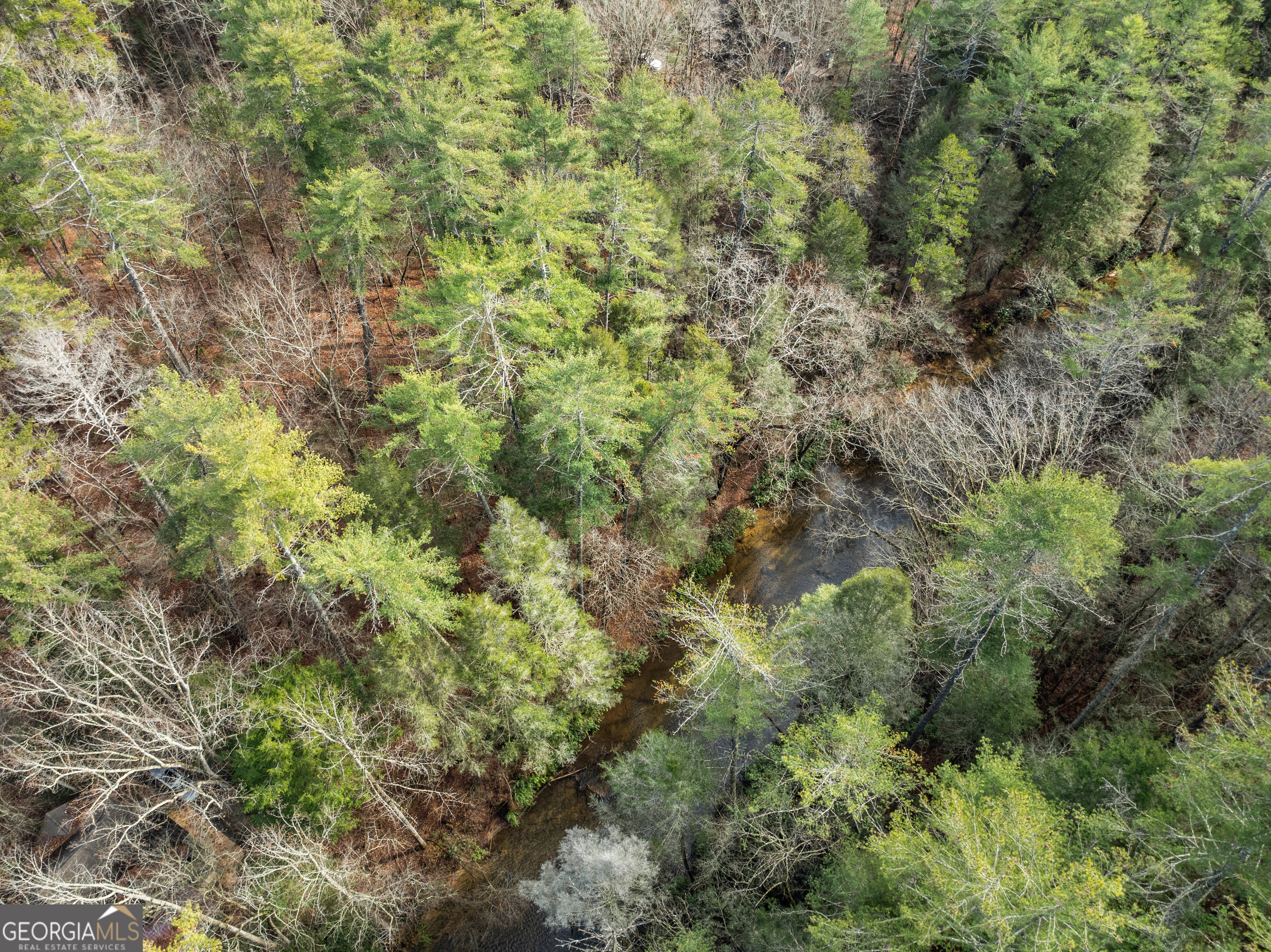 21 Soque Wilderness Road Clarkesville, GA 30523 - Photo 13 of 15 a view of a forest with a tree