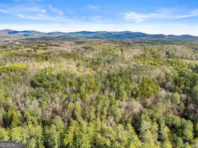 $265,000 | 21 Soque Wilderness Road, Clarkesville, GA 30523