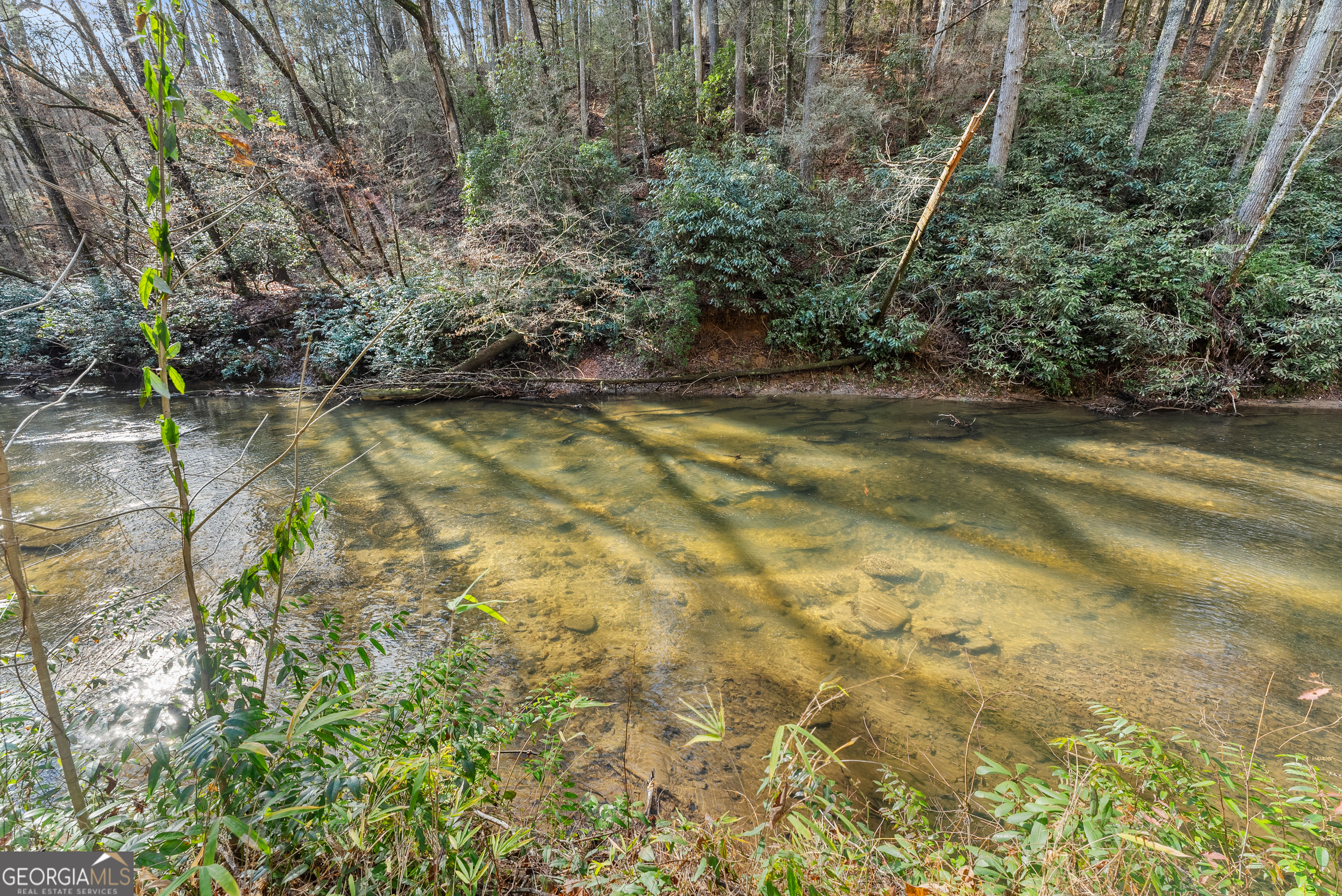 21 Soque Wilderness Road Clarkesville, GA 30523 - Photo 4 of 15 a view of yard