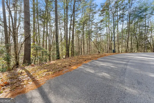 a view of a yard with large trees