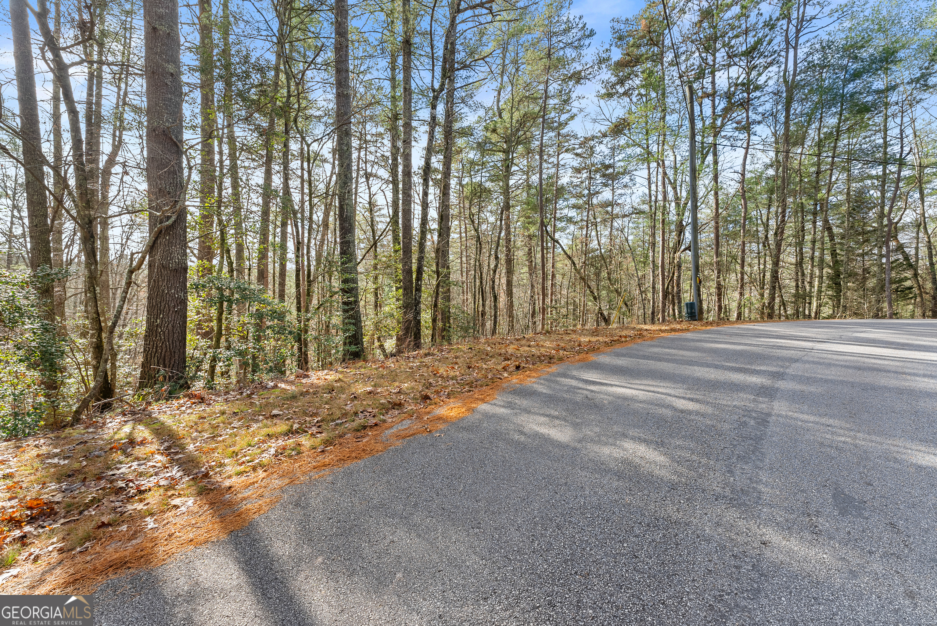 21 Soque Wilderness Road Clarkesville, GA 30523 - Photo 7 of 15