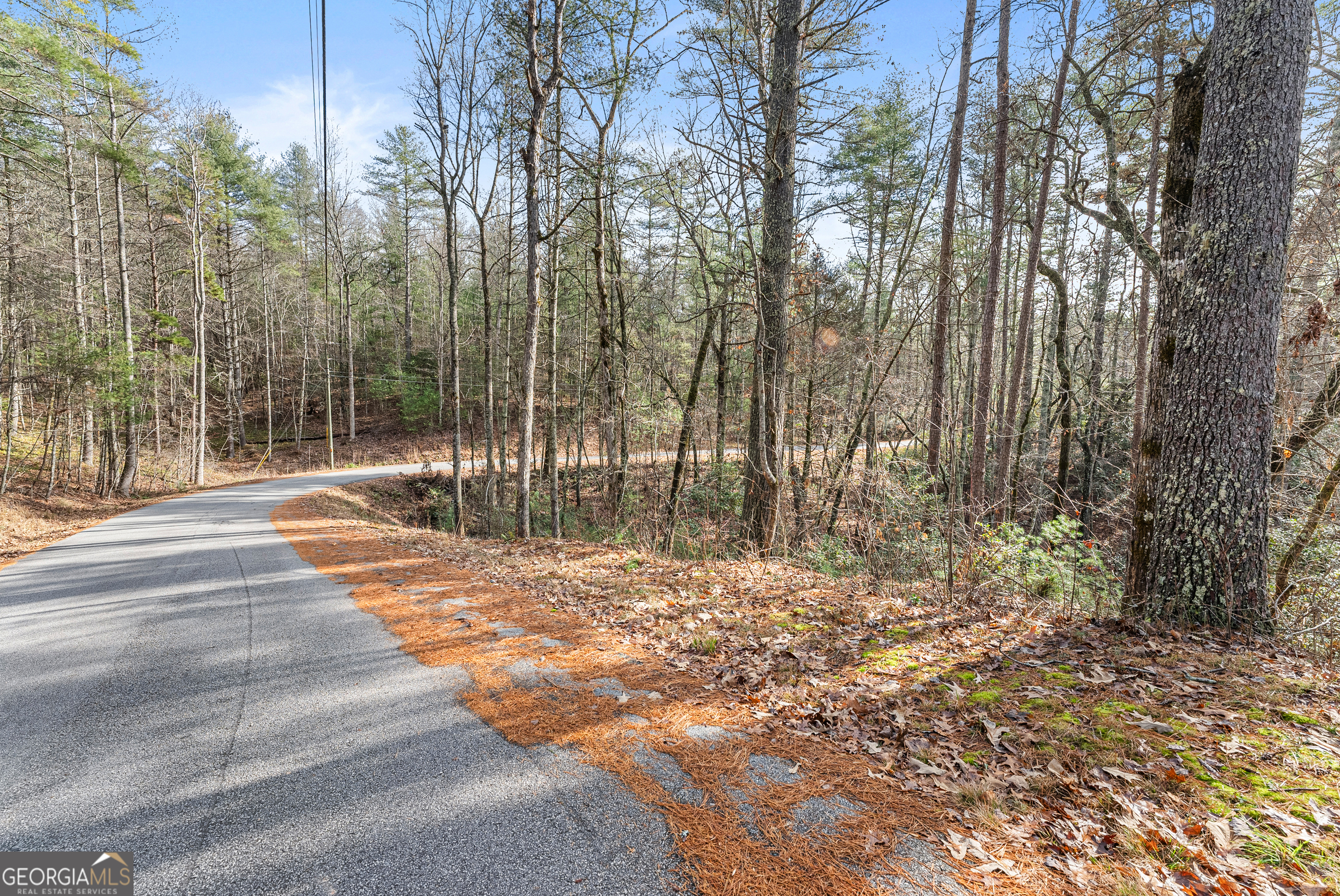 21 Soque Wilderness Road Clarkesville, GA 30523 - Photo 8 of 15