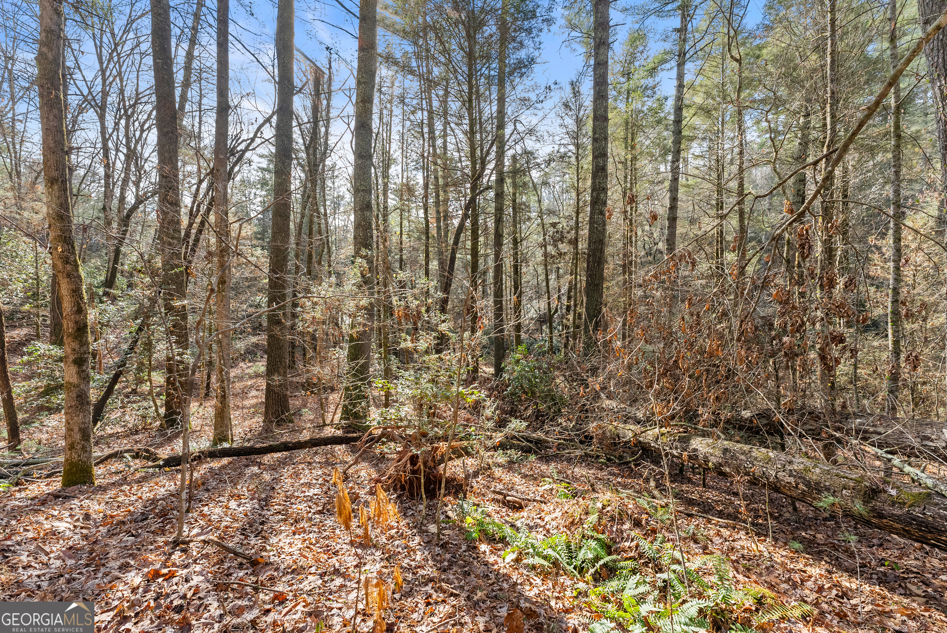 21 Soque Wilderness Road Clarkesville, GA 30523 - Photo 10 of 15 a view of a yard with large trees