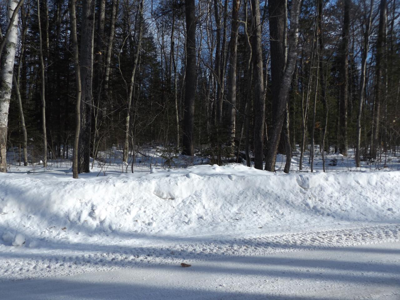 Three O Neil Road, Unit LOT #15 Eagle River, WI 54521 - Photo 8 of 16 Gallery Image 8