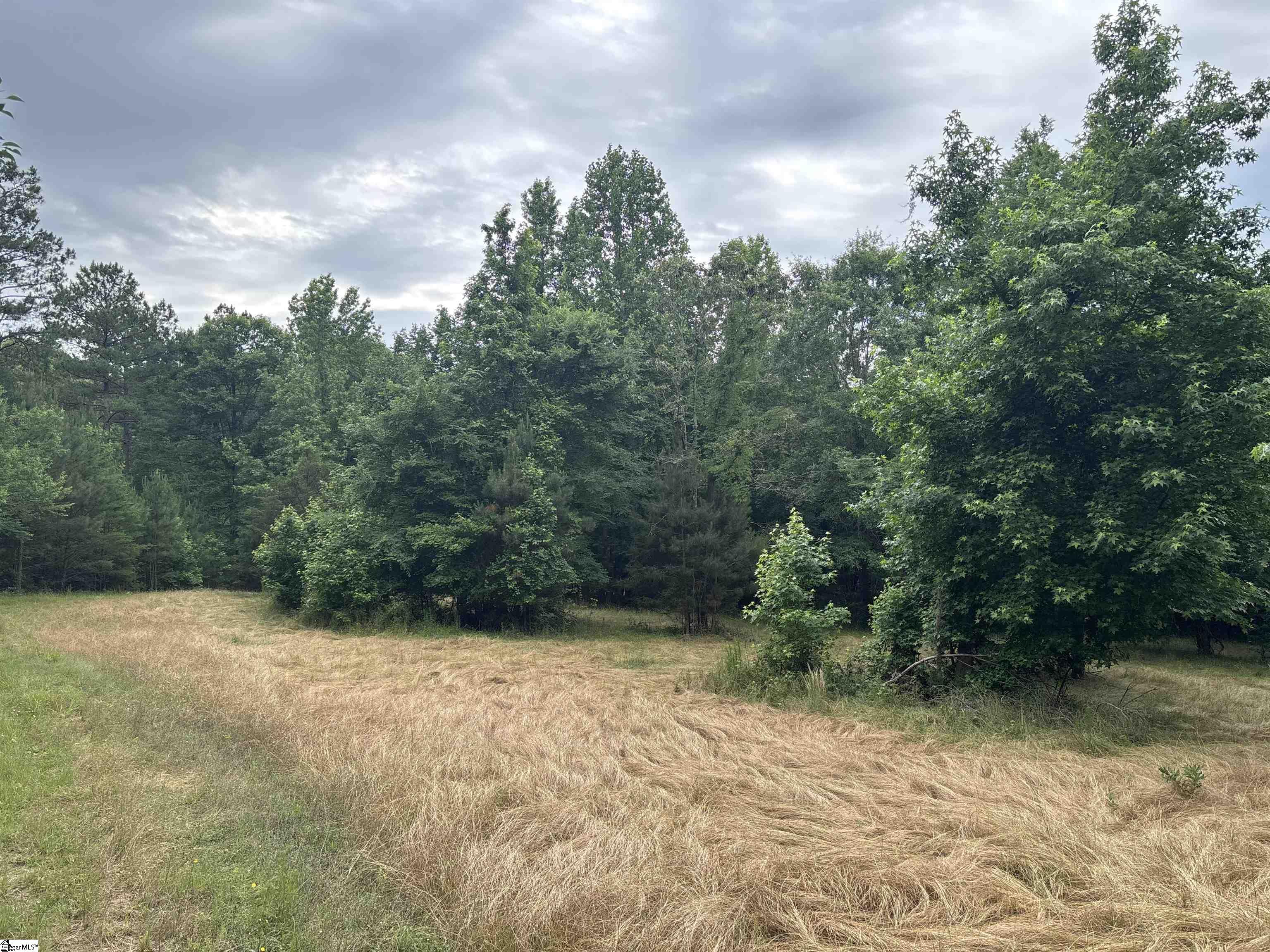 1087 Bobby Faucette Road Jonesville, SC 29353 - Photo 24 of 47