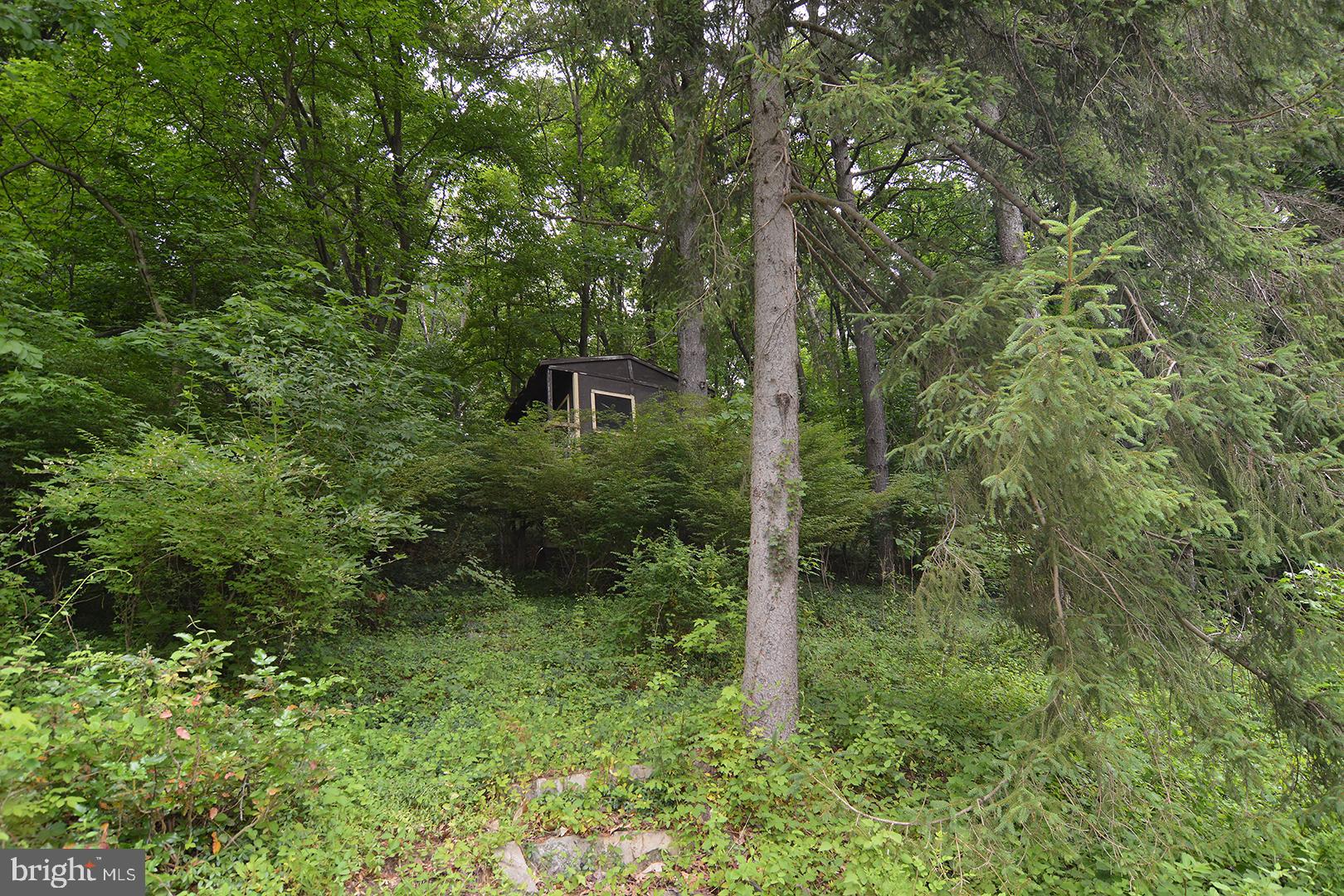 206 West Neversink Road Reading, PA 19606 - Photo 56 of 64 Gallery Image 56