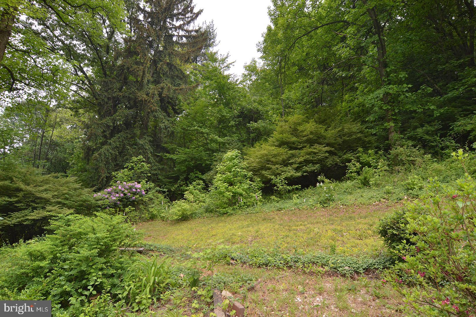 206 West Neversink Road Reading, PA 19606 - Photo 57 of 64 Gallery Image 57