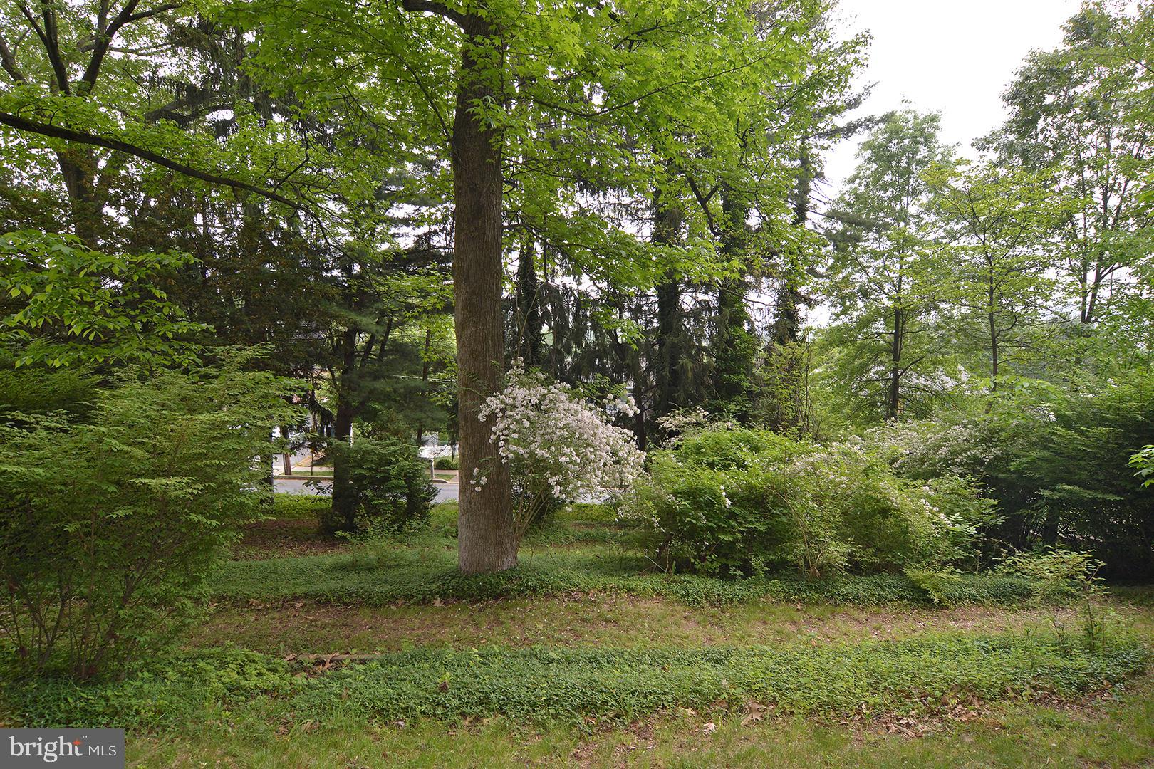206 West Neversink Road Reading, PA 19606 - Photo 60 of 64 Gallery Image 60