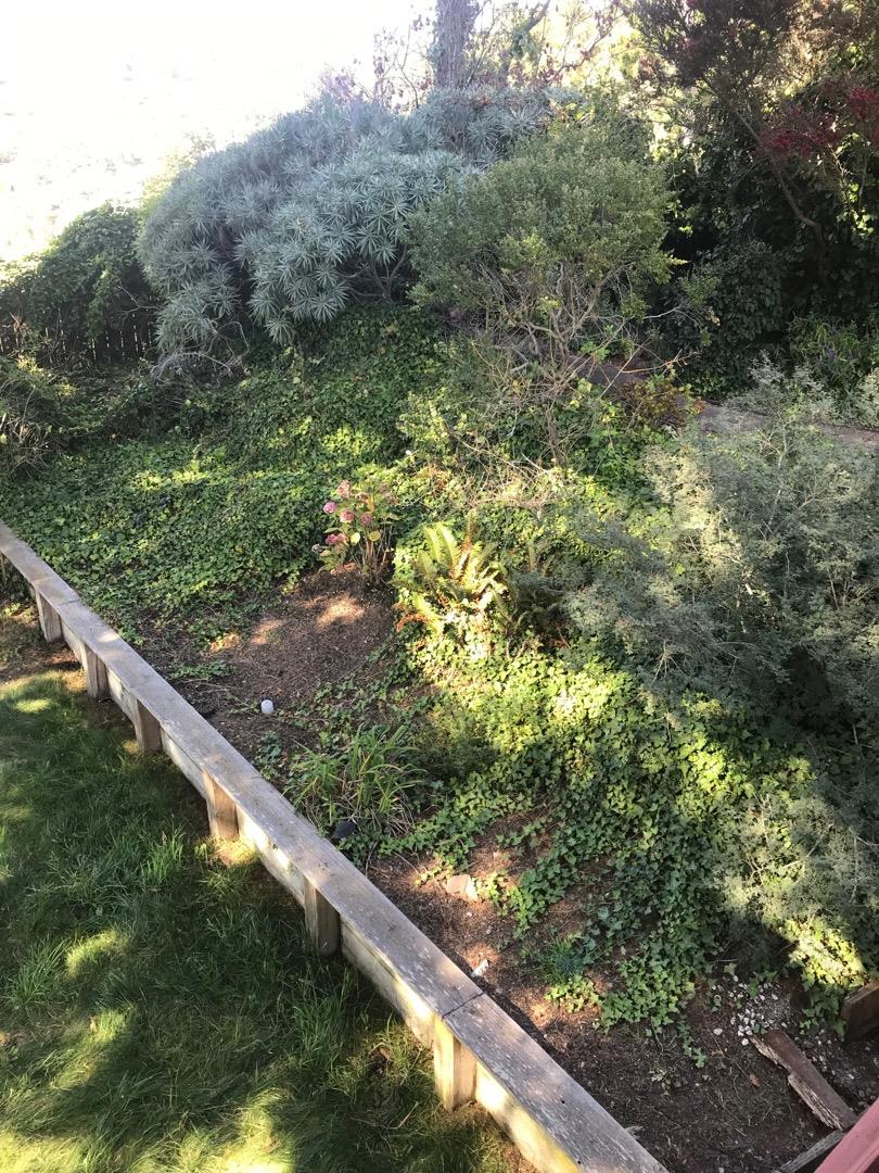 1273 Aspen Drive Pacifica, CA 94044 - Photo 12 of 12 a view of a forest from a balcony