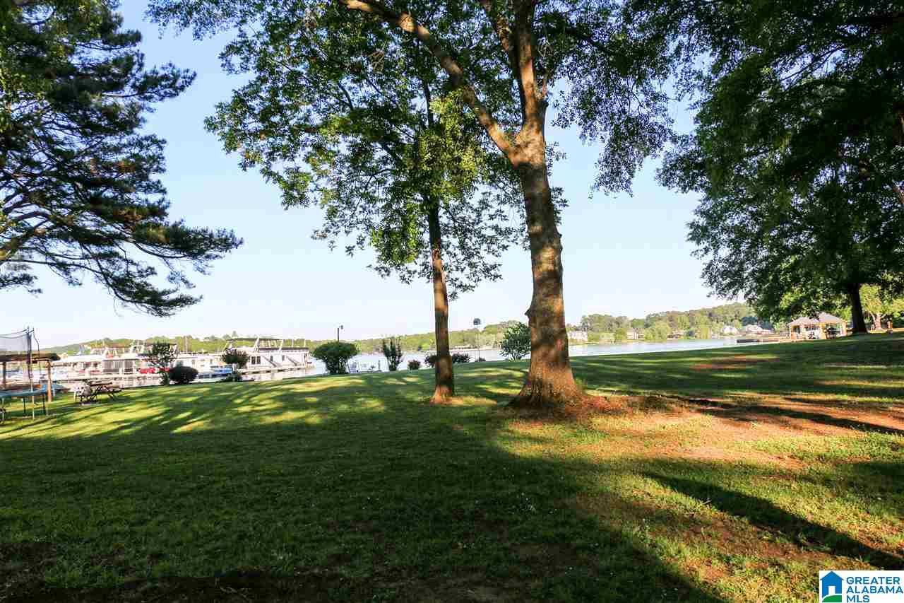 203 Blue Spring Trail Cropwell, AL 35054 - Photo 46 of 50