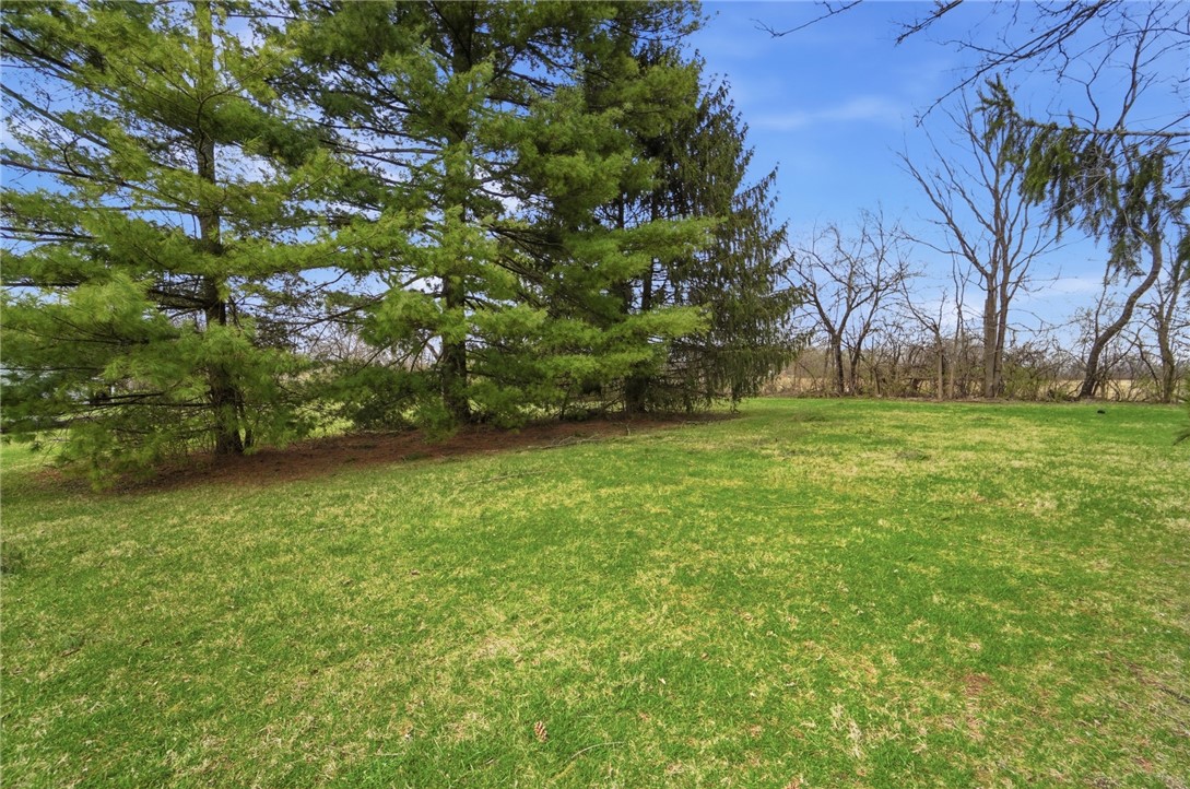 1166 West Sparrow Road Springfield, OH 45502 - Photo 38 of 40 Expansive green yard with mature trees offers a serene natural setting.