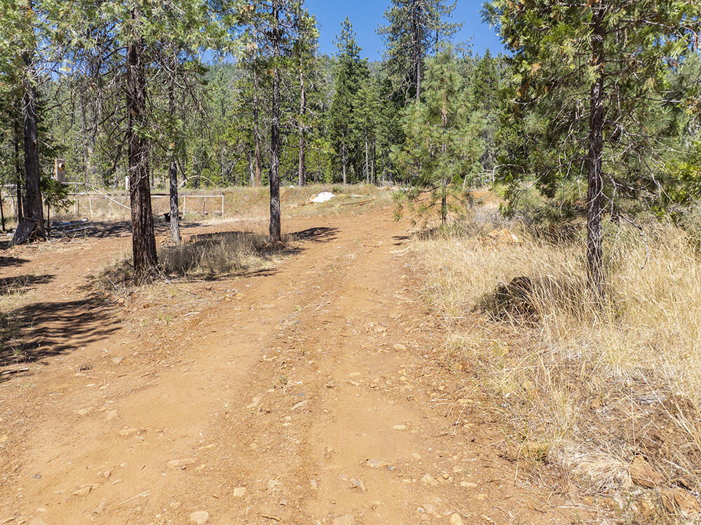 650 Gold Canyon Road Selma, OR 97538 - Photo 27 of 47 30