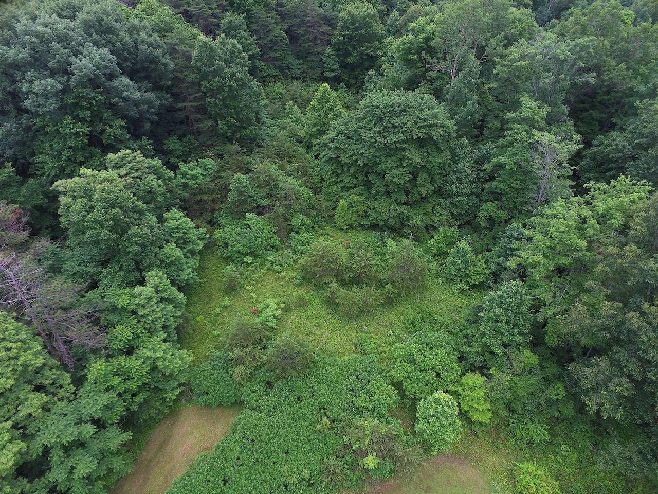 9976 Larimer Road Logan, OH 43138 - Photo 8 of 27