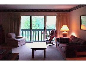 20 Christmas Tree Road, Unit 20 Warren, VT 05674 - Photo 2 of 5 Gallery Image 2