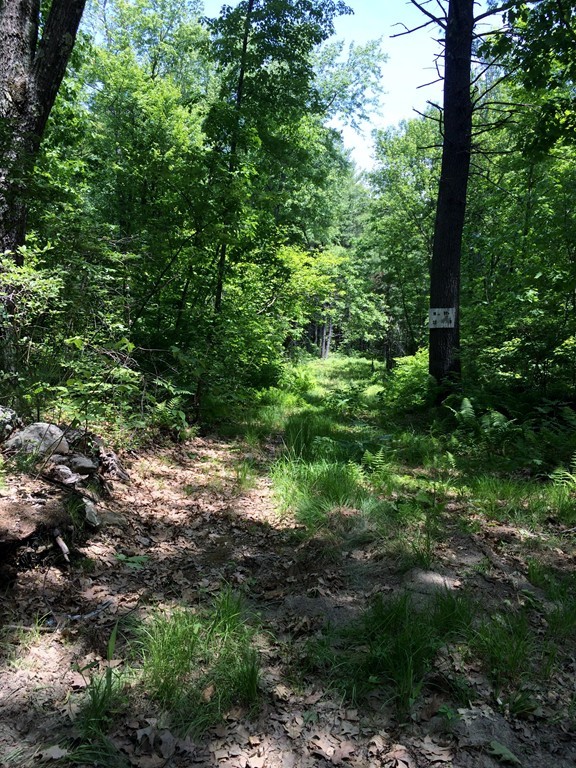 20 Paddock Road Rutland, MA 01543 - Photo 3 of 3 Gallery Image 3
