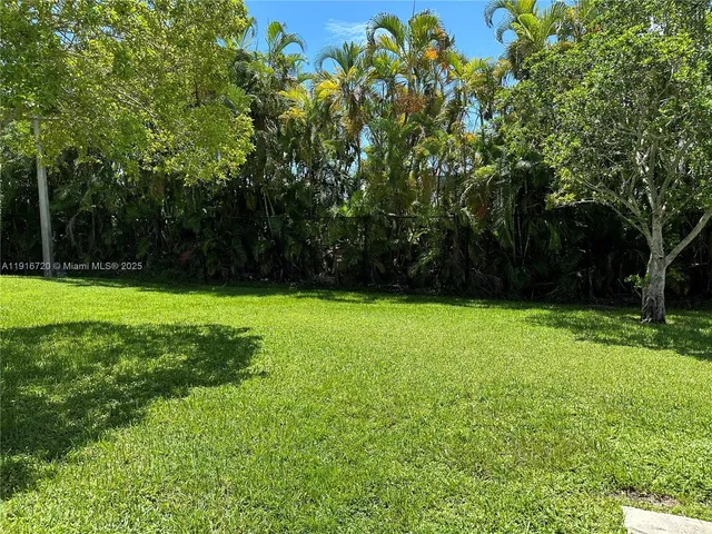 a view of a yard with a trees