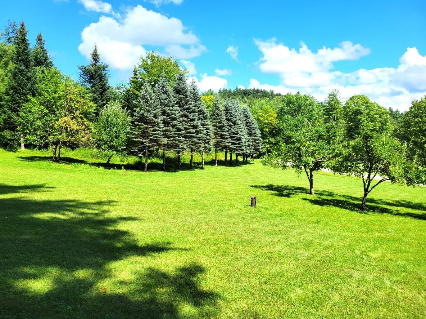 1567 Mt Hunger Road Bethel, VT 05032 - Photo 2 of 39