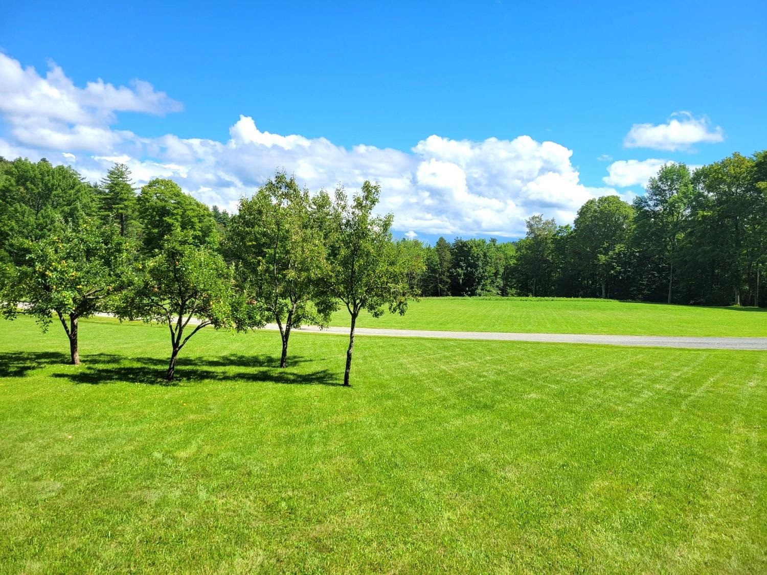1567 Mt Hunger Road Bethel, VT 05032 - Photo 31 of 39