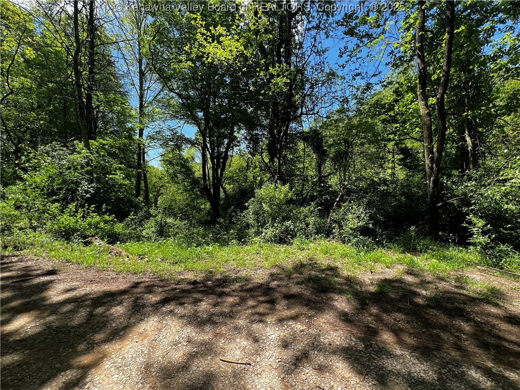0 Plantation Road Charleston, WV 25312 - Photo 4 of 13 Gallery Image 4