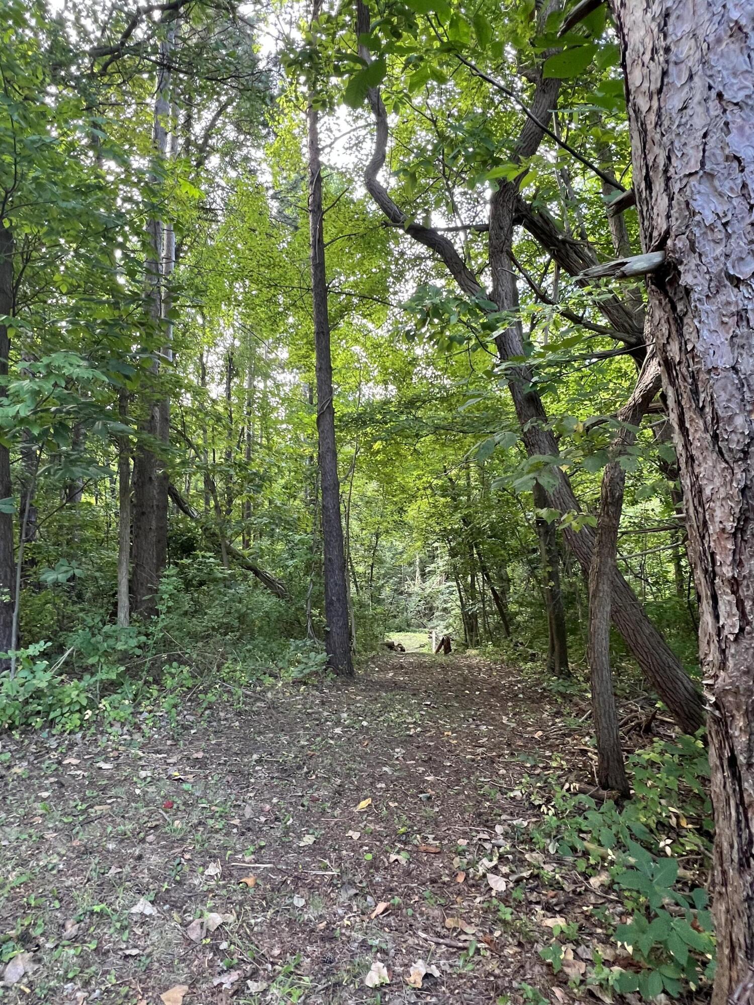 0 West 450 Road North La Porte, IN 46350 - Photo 3 of 13 a view of outdoor space and trees