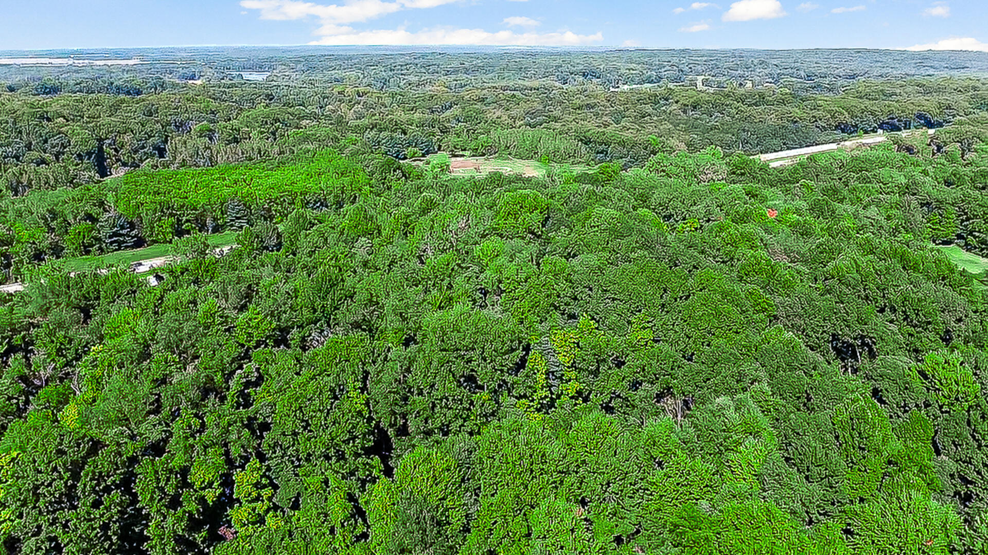0 West 450 Road North La Porte, IN 46350 - Photo 7 of 13 a view of a green field with lots of bushes