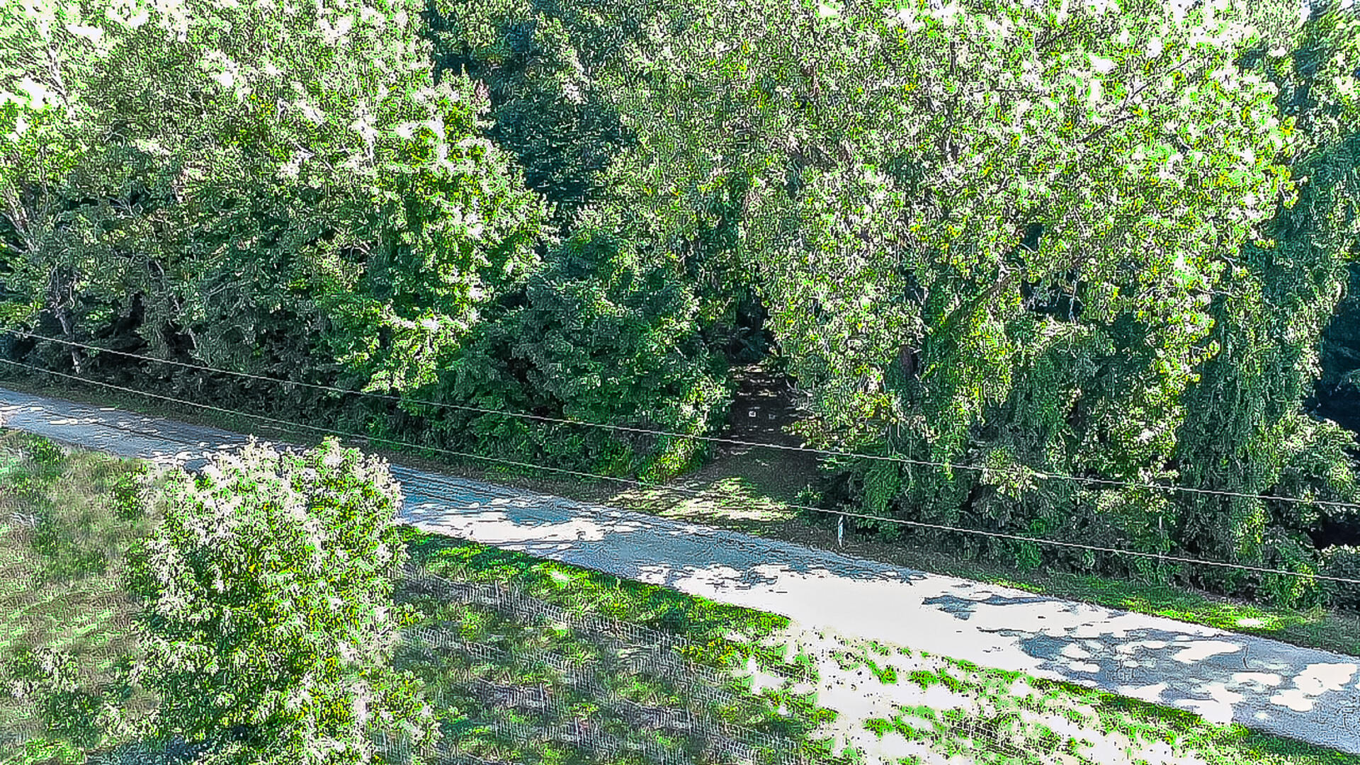 0 West 450 Road North La Porte, IN 46350 - Photo 8 of 13 a backyard of a house with lots of green space