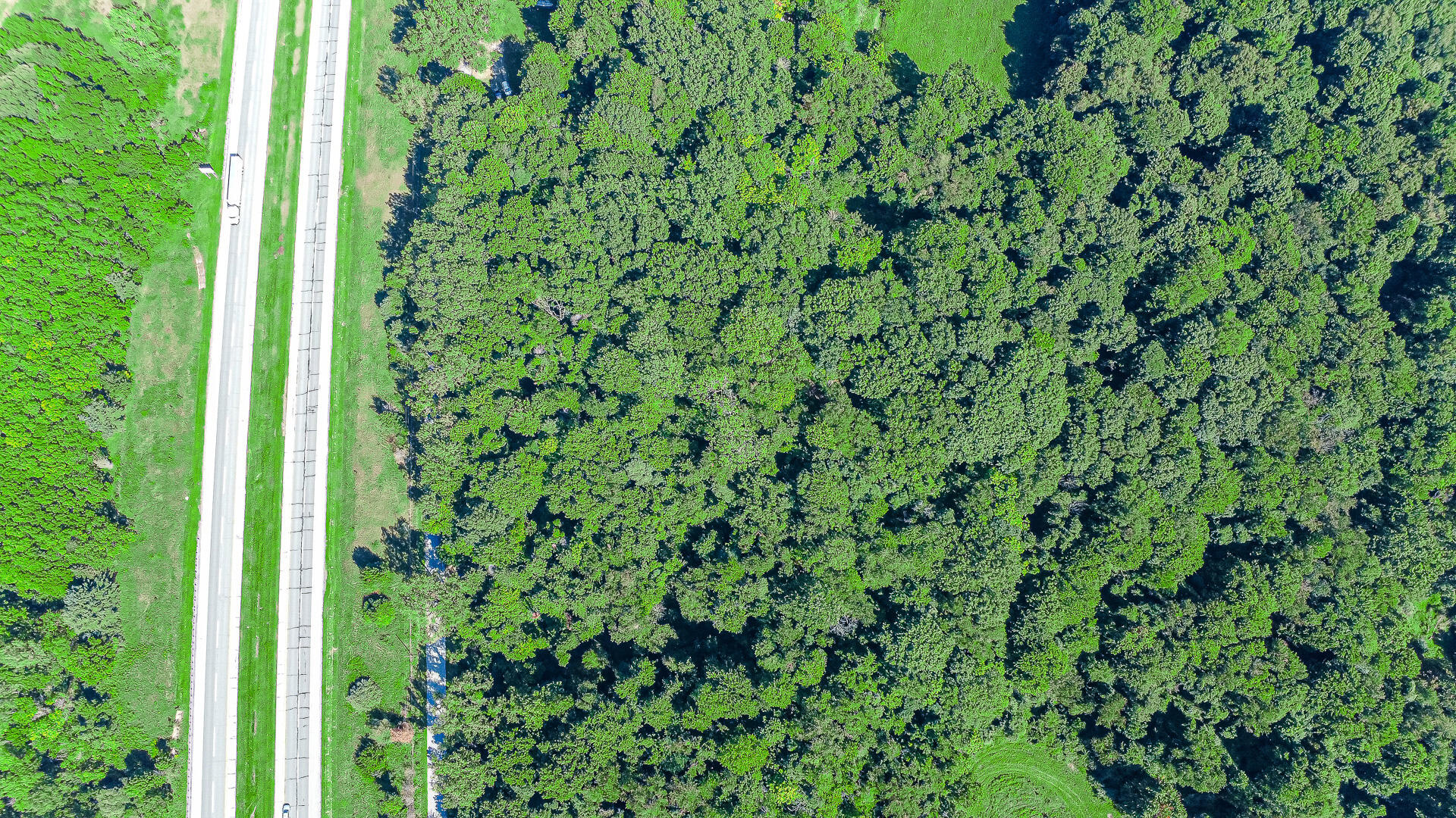 0 West 450 Road North La Porte, IN 46350 - Photo 10 of 13 a view of a lush green forest