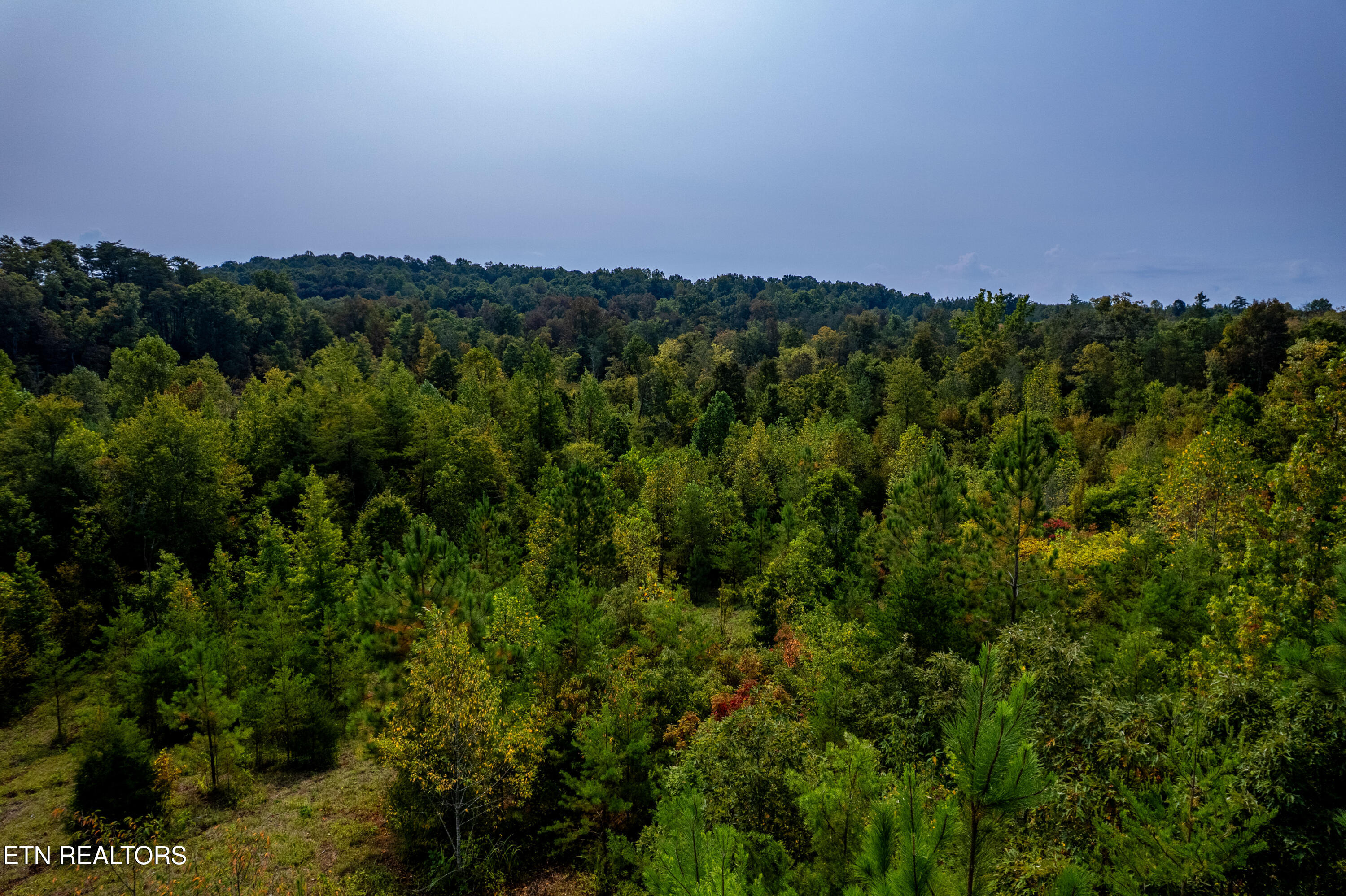 0 Shadden Road Tellico Plains, TN 37385 - Photo 20 of 20 750ShaddenRdTract6-21