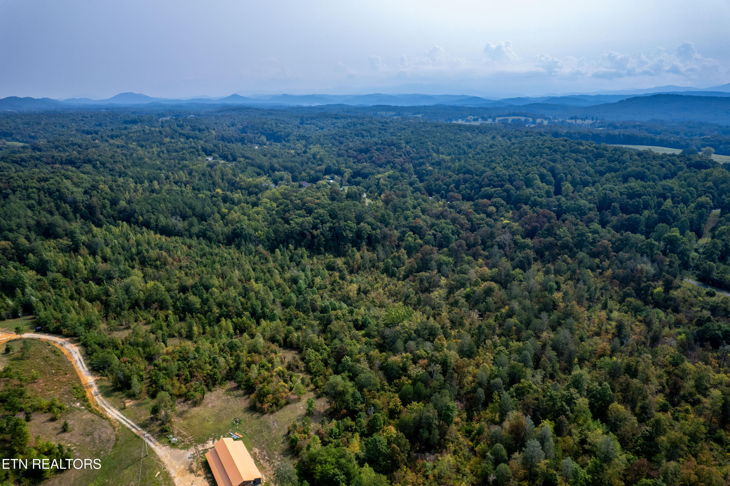 0 Shadden Road Tellico Plains, TN 37385 - Photo 7 of 20 750ShaddenRdTract6-13