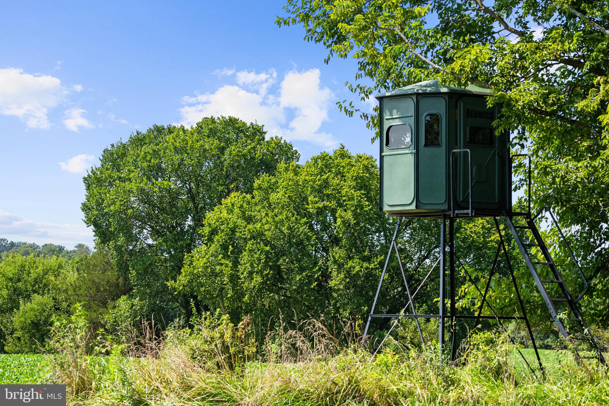 21100 West Offutt Road Poolesville, MD 20837 - Photo 4 of 58