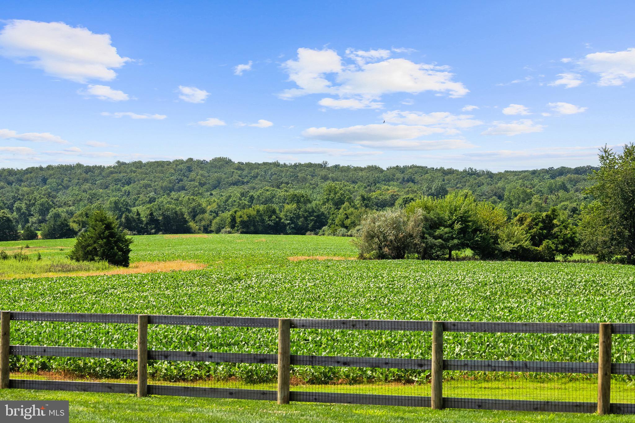 21100 West Offutt Road Poolesville, MD 20837 - Photo 49 of 58 Producing crops