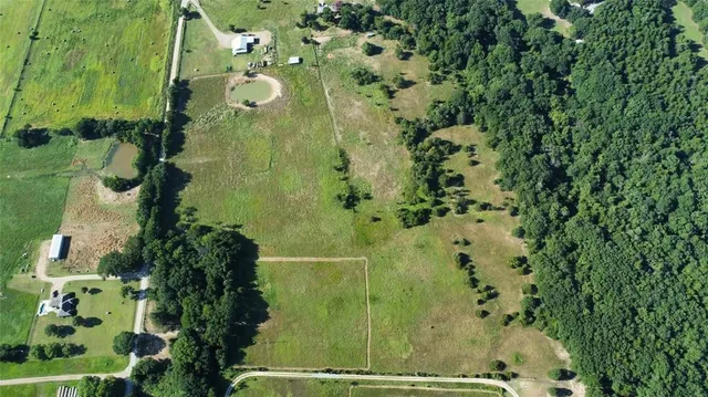 a view of a shower and a plant
